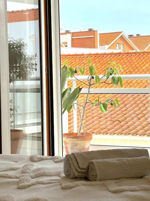 Nazare Boutique W Sea View And Private Rooftop Terace Nazaré Exterior foto