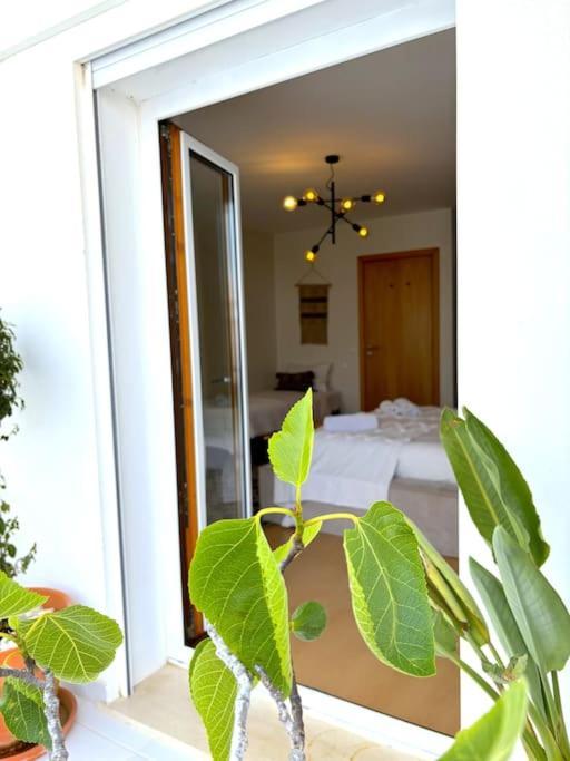 Nazare Boutique W Sea View And Private Rooftop Terace Nazaré Exterior foto